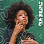 Jamaican Black Castor Oil Hair Grease Styling Conditioner, 12 fl oz - Great for Strengthening - Mega Hair Growth Therapy by Wonder Gro - Image 3