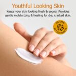 Fruit of the Earth Vitamin E Lotion, 16 Ounce - Image 5