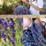 Cuccio Dry Body Oil, Lavender & Chamomile, Calming, 15.5 oz - Image 5