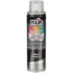 Tulip ColorShot Instant Fabric Spray Paint, Permanent Color Spray-On Fabric Paint, 3oz. Black